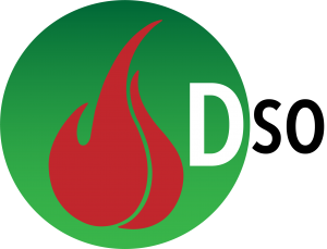 cropped-despertarsocial-logotipo-siglas.png